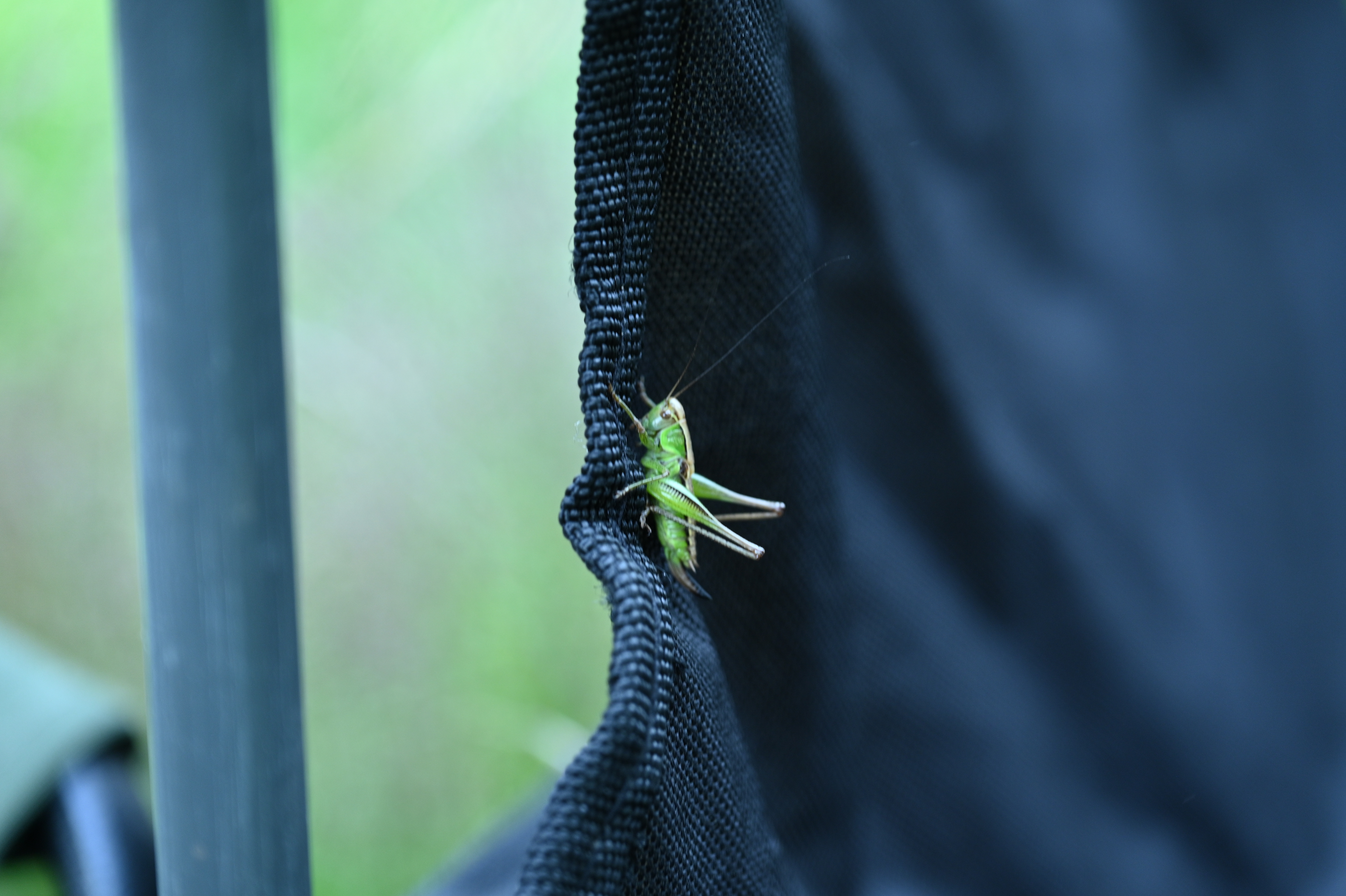 2025/07/09-14 - trip/DSC_0034.JPG